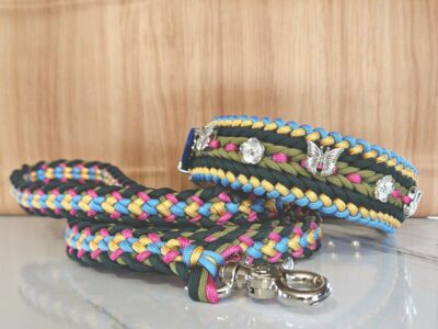 Butterfly and flower collar and leash