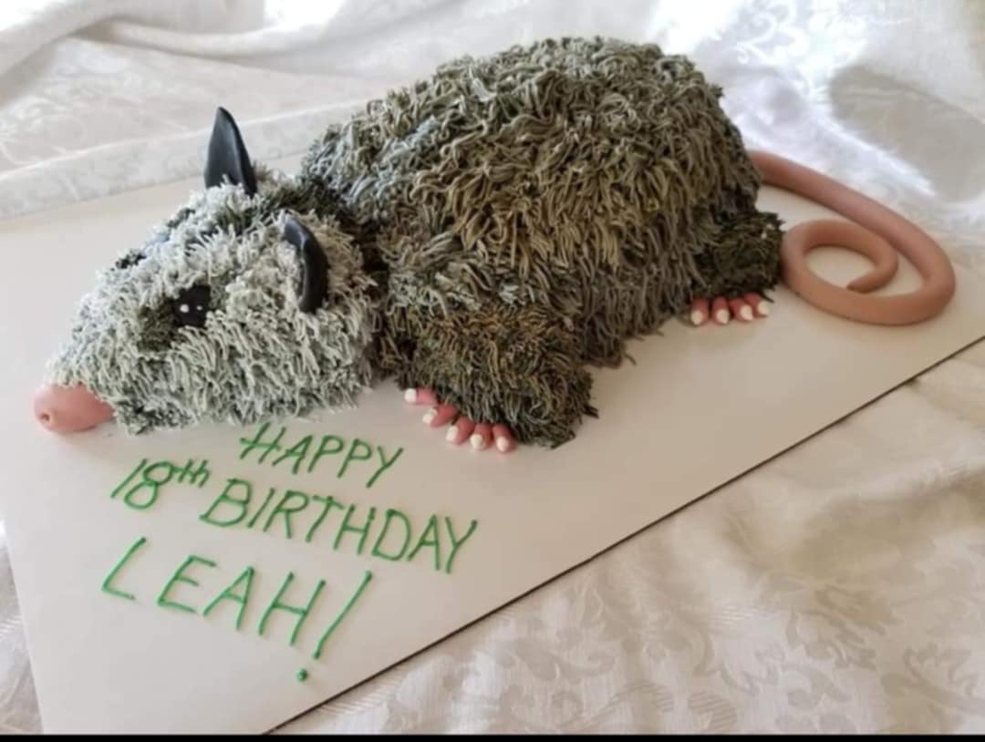 Goofy Opossum Cake by Flour Girl- Custom Cakes